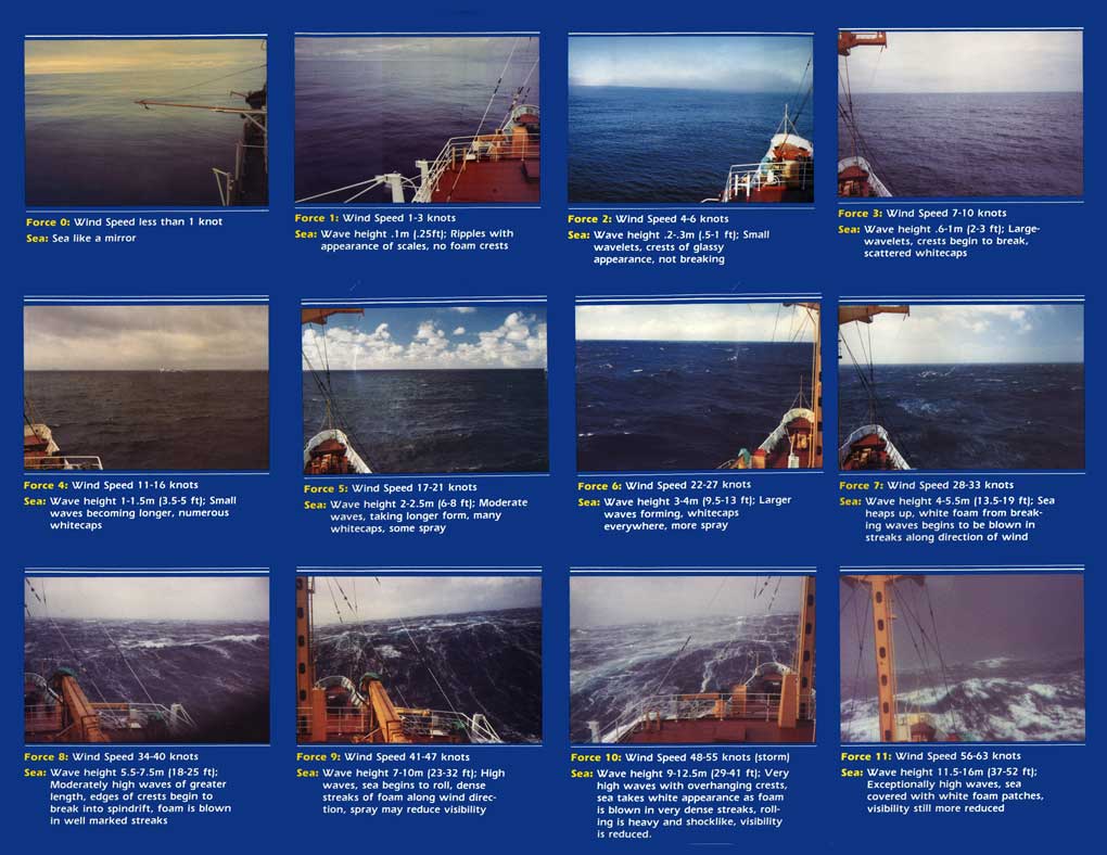 The Beaufort Scale Summer Divers